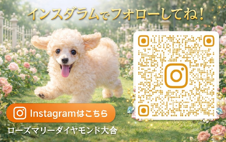 インスタグラム